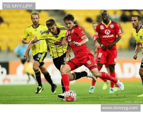 纽喷飞机与惠灵顿凤凰的精彩对决分析与赛季展望