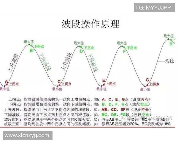 从零基础到高手之路羽毛球节奏与技巧全方位指南MBA